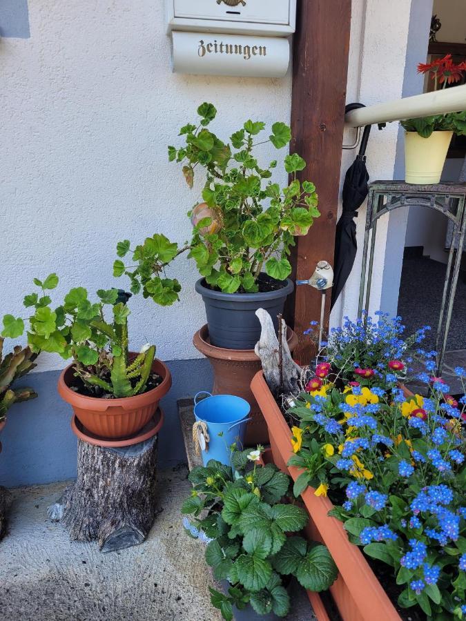 Ferienwohnung Schatz Breitenwang Zewnętrze zdjęcie